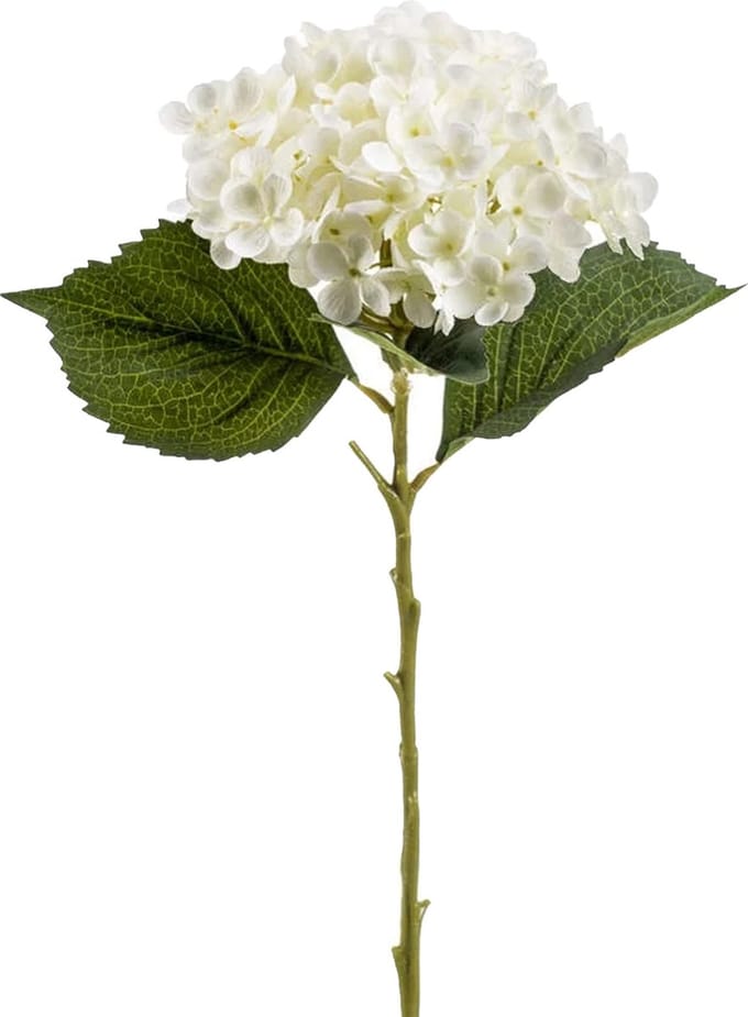 Emerald Kunstbloem hortensia tak - Annabelle - 52 cm - creme - Kunst zijdebloem - Hydrangea