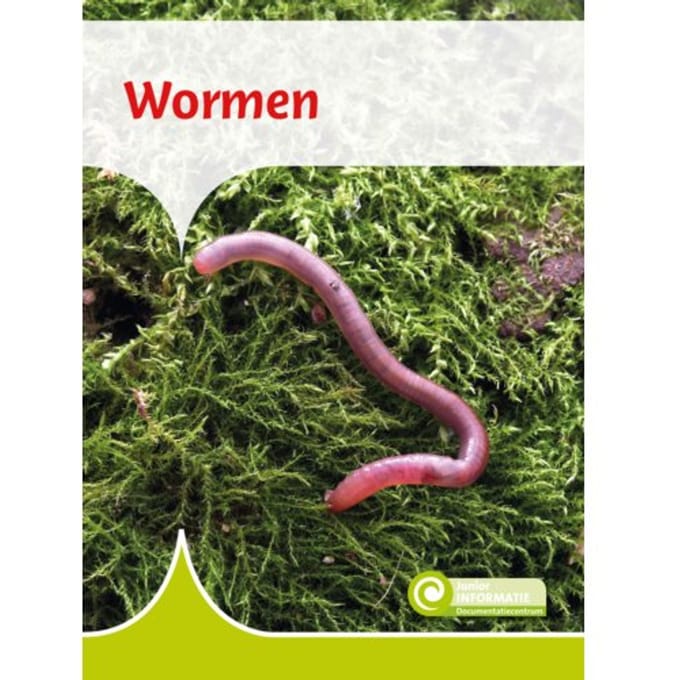 Wormen - Junior Informatie - Geert-Jan Roebers