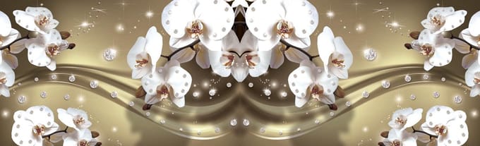 Fotobehang Vlies Orchideeën, Bloemen | Wit | GROOT 832x254cm