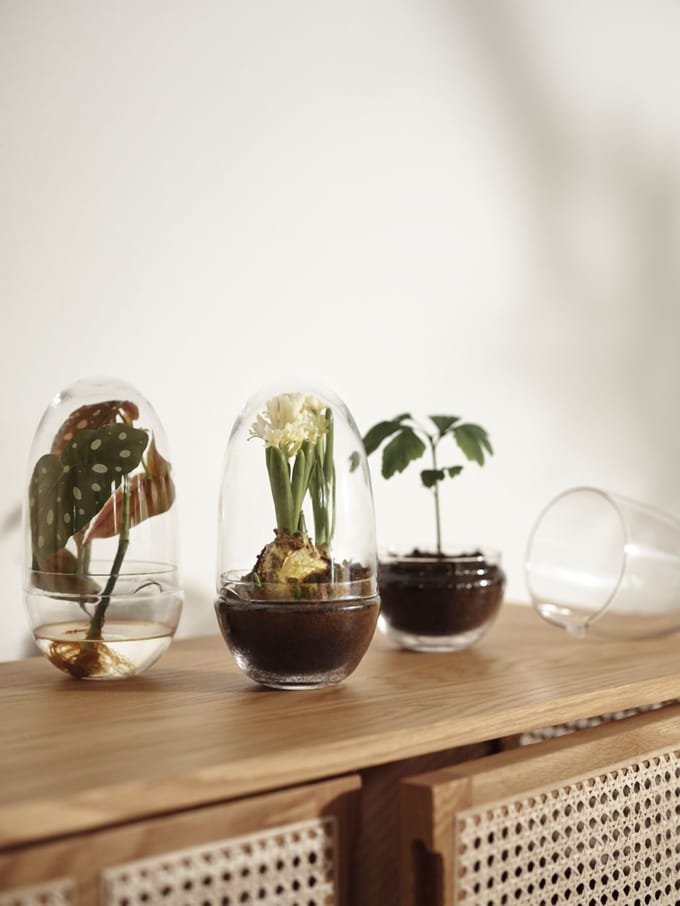 Design House Stockholm - Grow broeikas - L - transparant