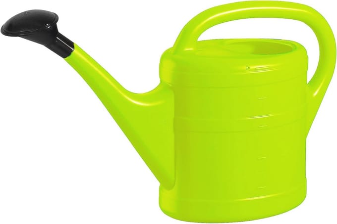5 Liter Gieter met Sproeier - Mintgroen Kunststof Tuingereedschap