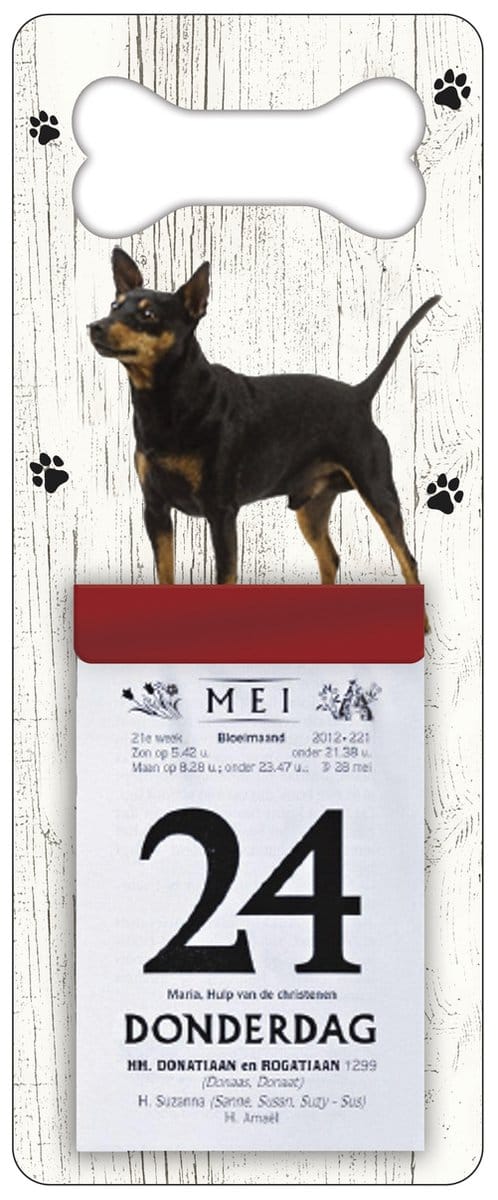 Scheurkalender 2027 Hond: Dwergpincher