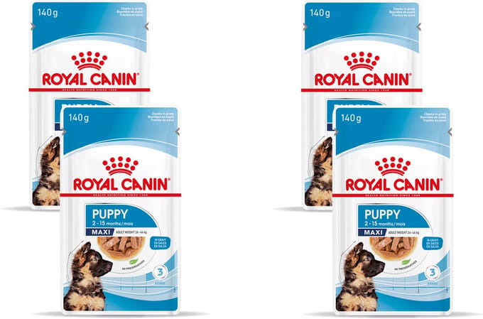 Royal Canin - Maxi Puppy Hondenvoer Nat - 40 x 140 gr