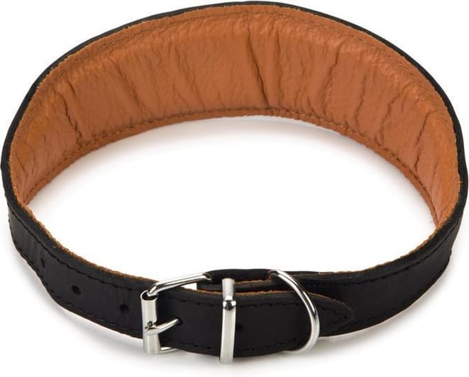 Beeztees Rondo Windhond - Hondenhalsband - 42-50 cm x 50 mm