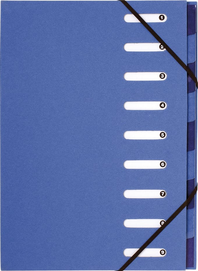 Exacompta 6x Sorteermap HARMONIKA® FOREVER® 270g/m2 - 9 indelingen - uitgesneden vensters - Lichtblauw - 52982E