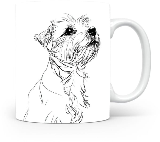 Beker Norfolk Terrier