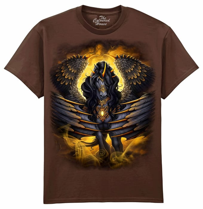 Black Pegasus The Coloured House T-shirt M