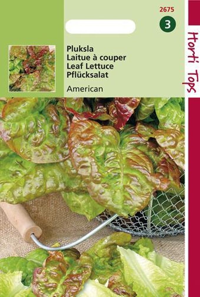 Hortitops Zaden - Pluksla Amerikaanse Roodrand