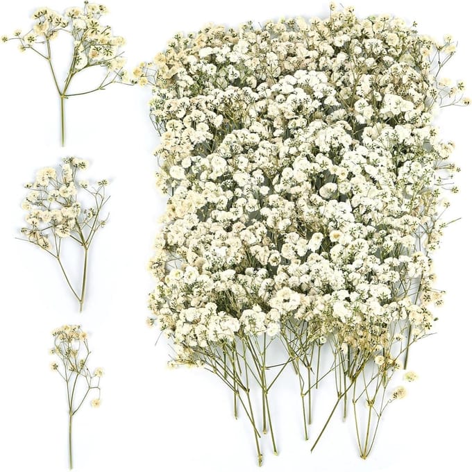 100 stuks Gedroogde Gypsophila bloemen voor DIY knutselprojecten