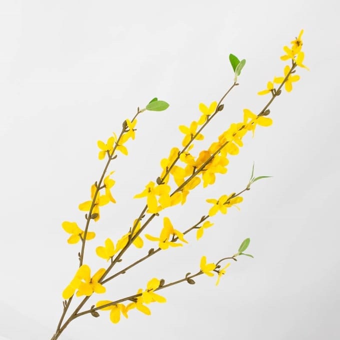 HomeBound by KY | Kunsttak Forsythia | kunstplant