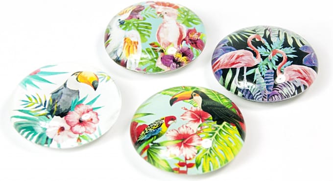 Magnet Eye - Jungle Bird - set of 4 assorted
