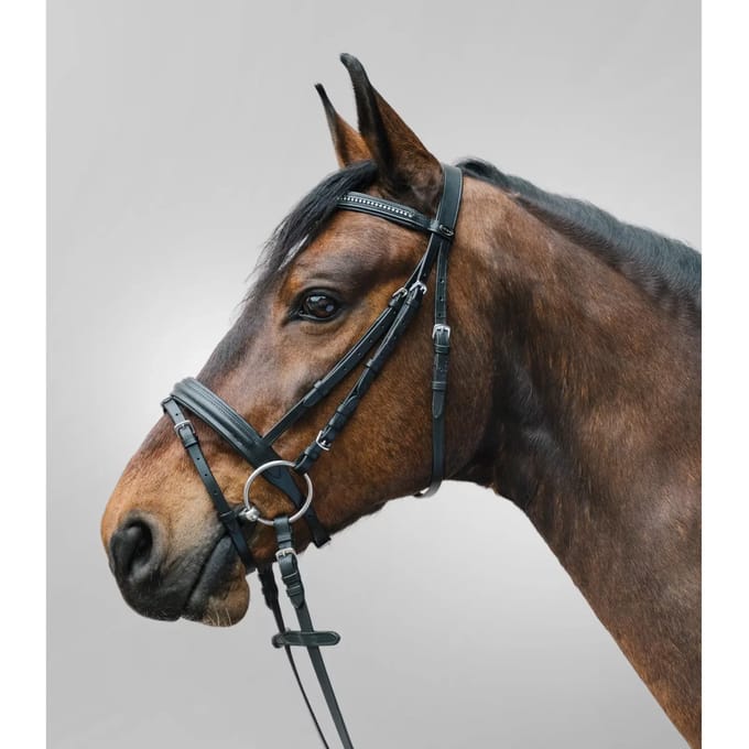 Combiné hoofdstel met neusriem Star Diamond