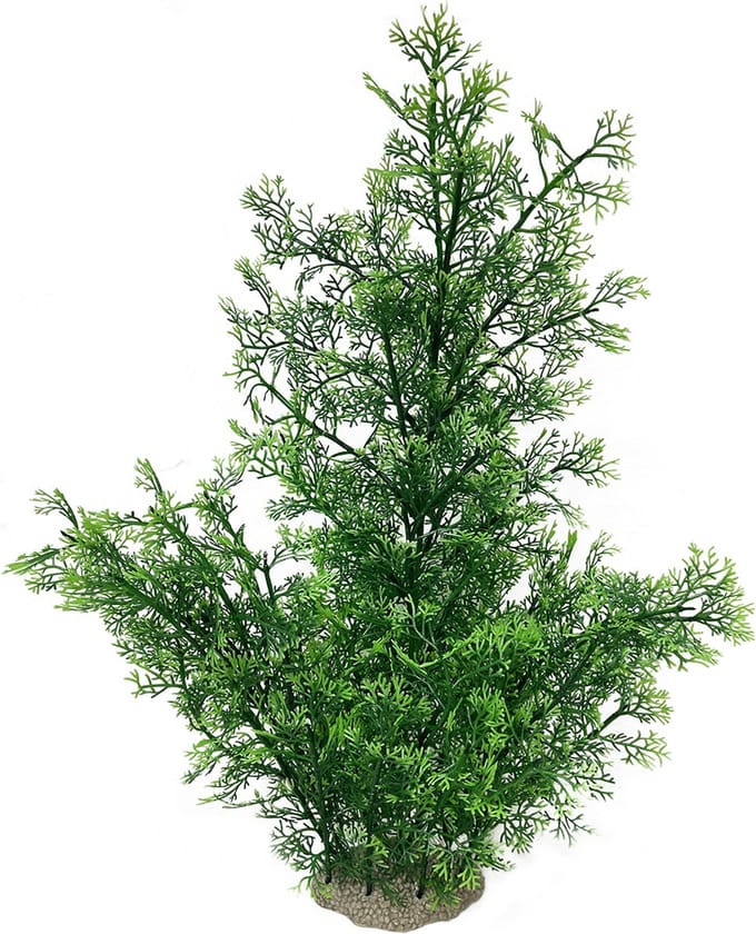 Aqua Della Aquariumplant Phoenix - Groen - 56cm