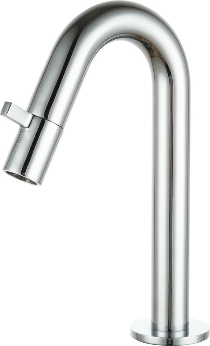 Diamond Line Eva - Toiletkraan - Glans Chroom - Opbouw - Laag - Koudwaterkraan