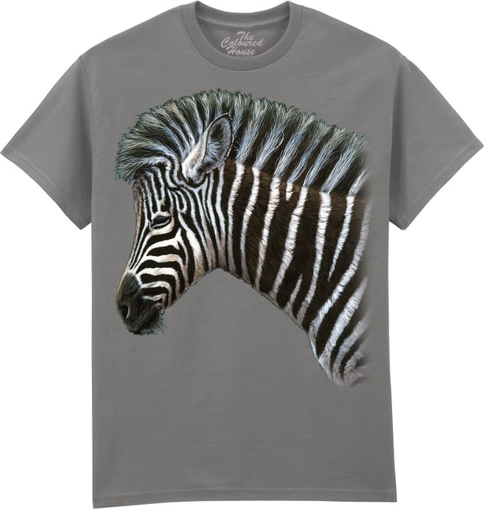Zebra Foal The Coloured House T-shirt M