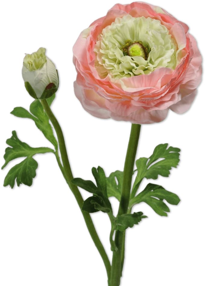 Viv! Home Luxuries Ranonkel - zijden bloem - roze groen - 48cm
