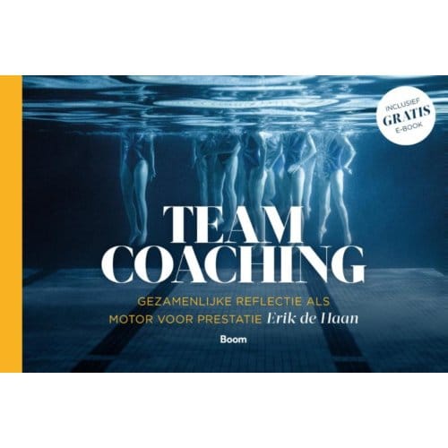 Teamcoaching - Erik de Haan