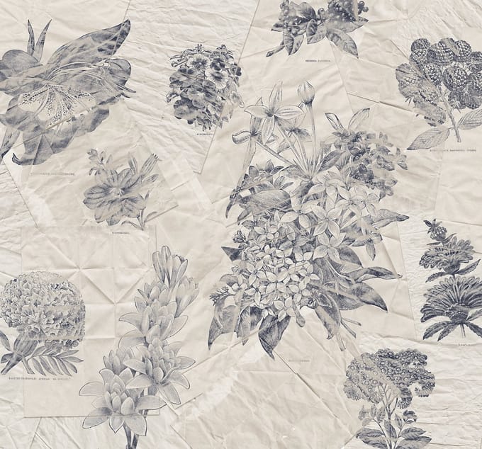 Fotobehang - Botanical Papers 300x280cm - Vliesbehang