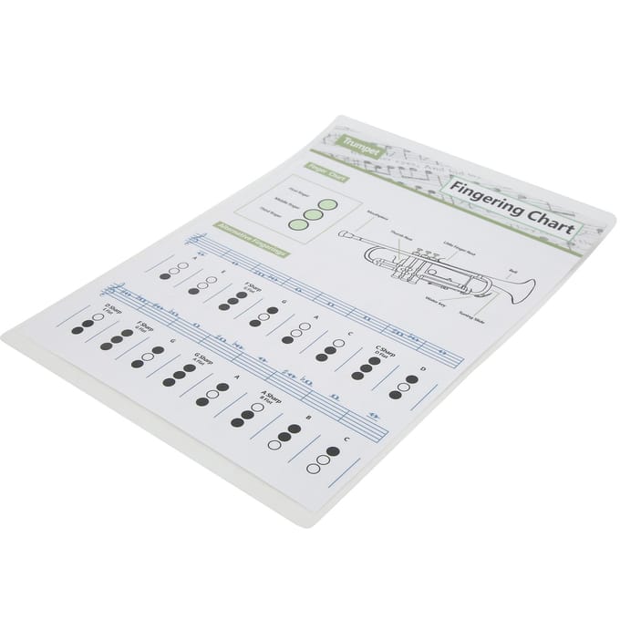 Trompet Akkoorddiagram Vingerzetting Noot Muziekinstrument Naslaggids voor Thuis KlasKlein gray