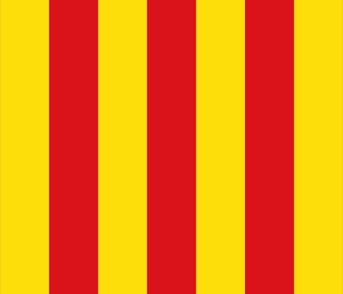 Vlag Kontich 100x150cm