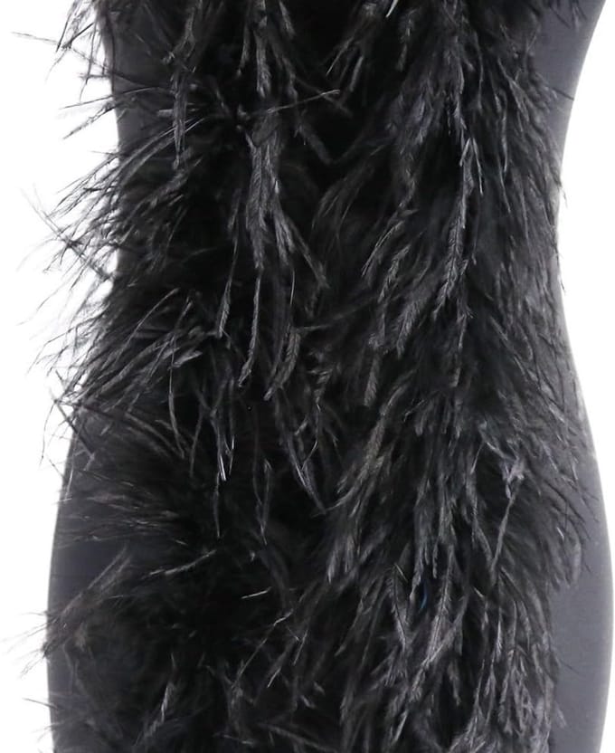 Fluffy Pluizige Boa van 2 meter, Perfect voor Charleston 1920s, Flapper Feest en Carnaval, Zwart Accessoire