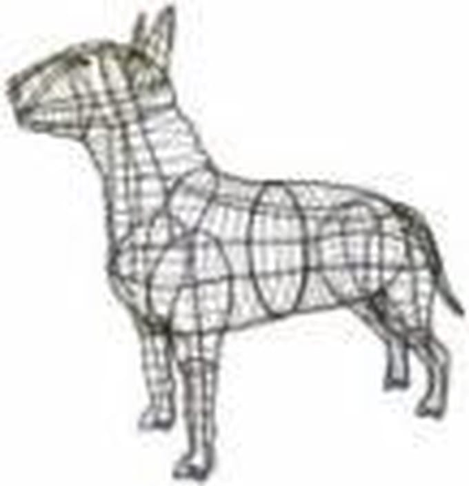 Hond Bulterrier - Frame