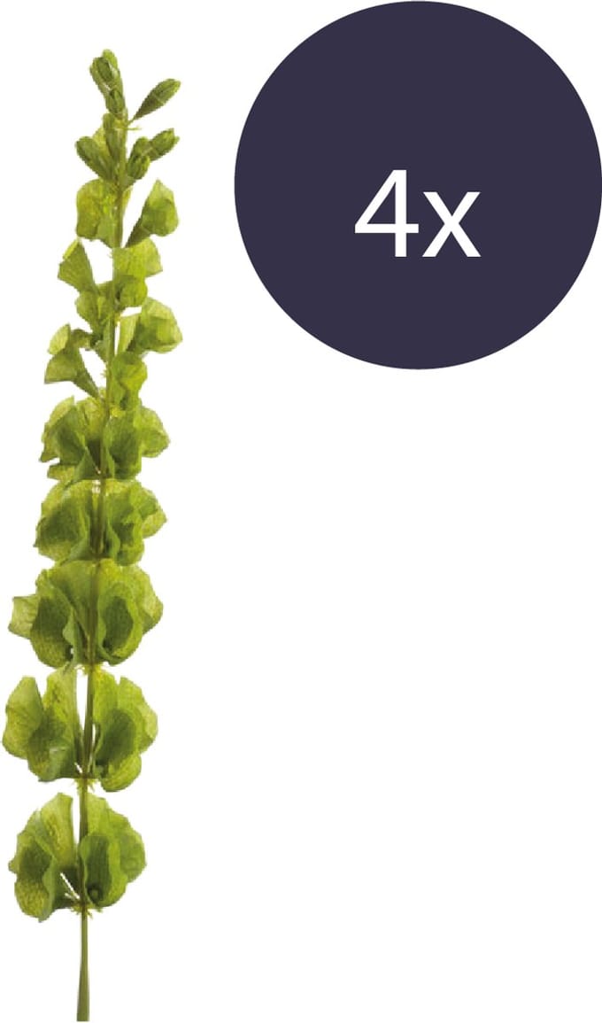 Emerald - Kunsttak Molucella 80cm - Set van 4 - Kunstplant voor binnen