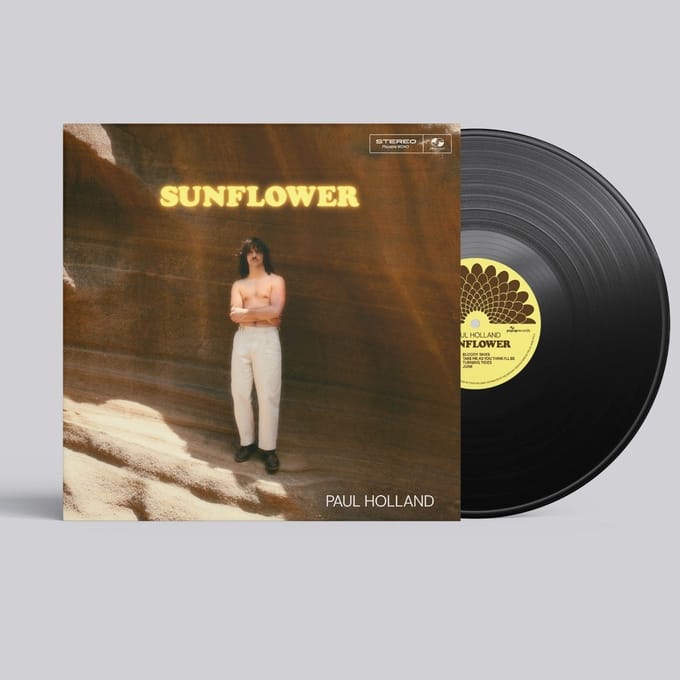 Paul Holland - Sunflower