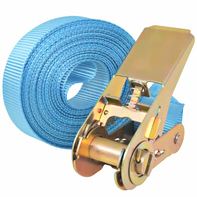 Vidaxl Spanbanden met Ratels, 4 Stuks, 0,8 T, 6Mx25Mm, Blauw