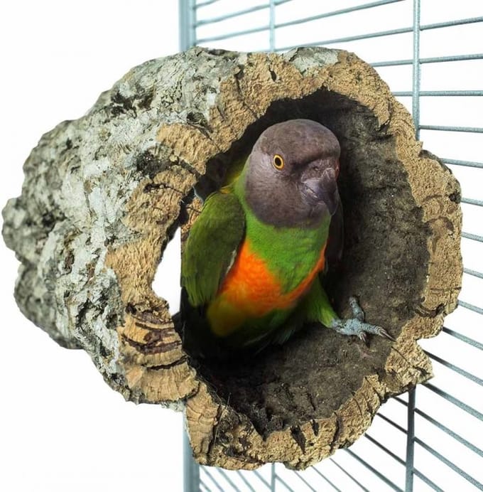 Schuilhut medium - Zitstokken - Speeltjes - Overige dieren
