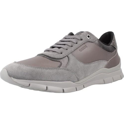 Lage Sneakers Geox D Sukie