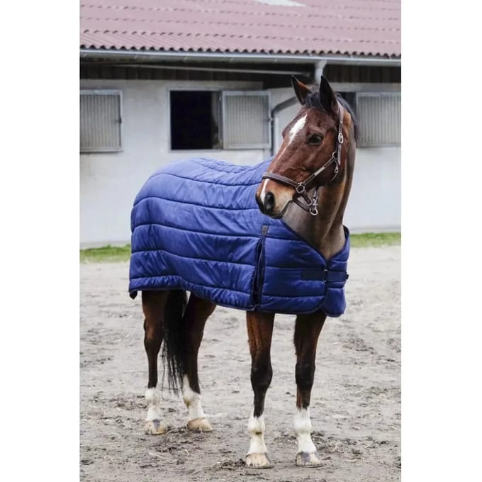 Undercover voor paarden Equithème Classic 200 g