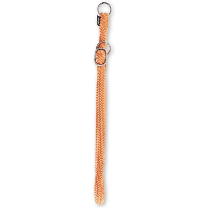 Ronde klassieke nylon hondentrainingshalsband Martin Sellier