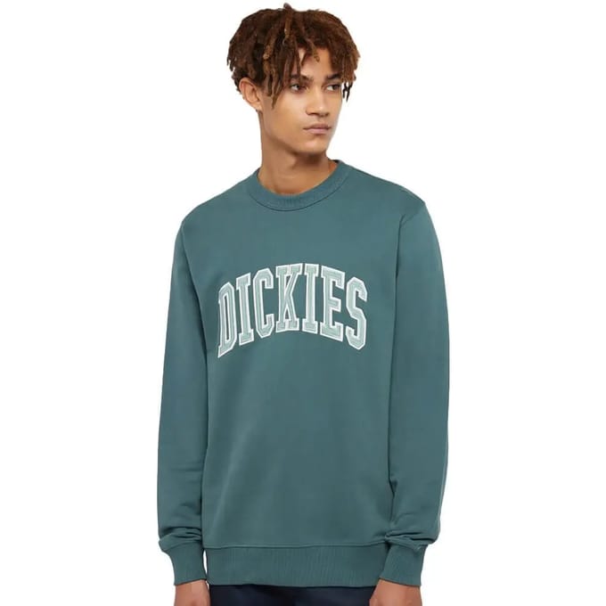 Sweater met lange mouwen Dickies Aitkin