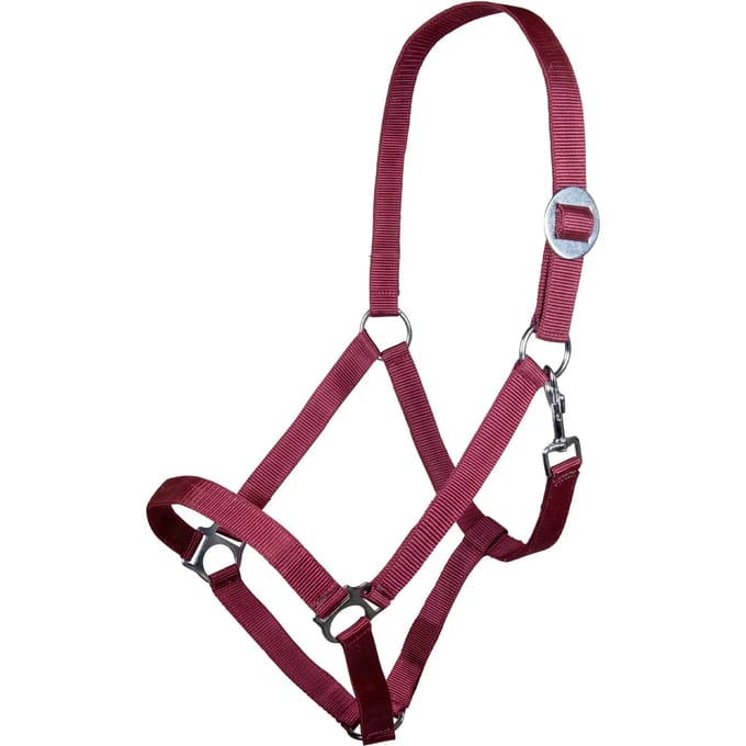 Halster voor paarden HKM Stars Economy