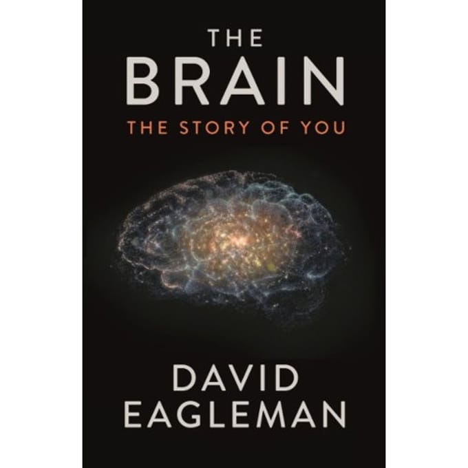 Brain - David Eagleman