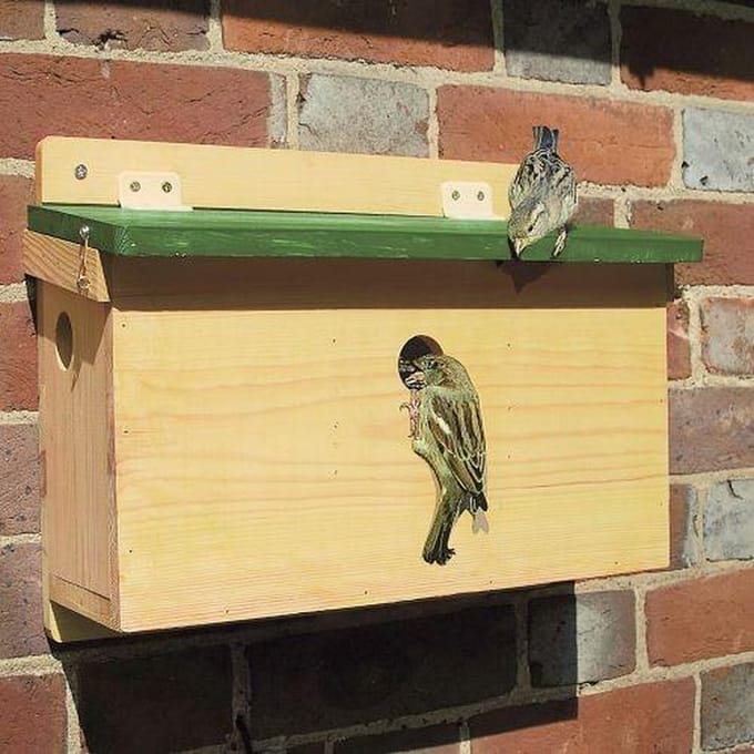 Vogelhuisje Mussen Groen Dak