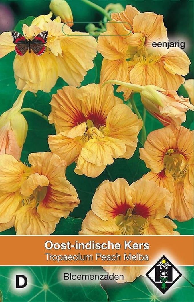 2 stuks Van Hemert & Co Tropaeolum m. n. Peach Melba