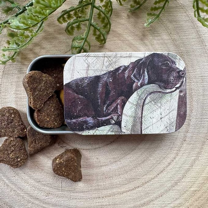 Alex Clark Sliding little Tin Buddy ~ Langwerpig klein opbergblikje Hond