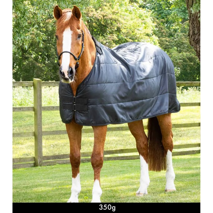 Paardendeken Premier Equine 350 g