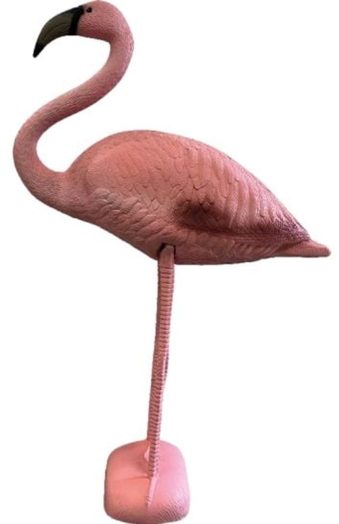 SuperFish Deco Vogel Flamingo