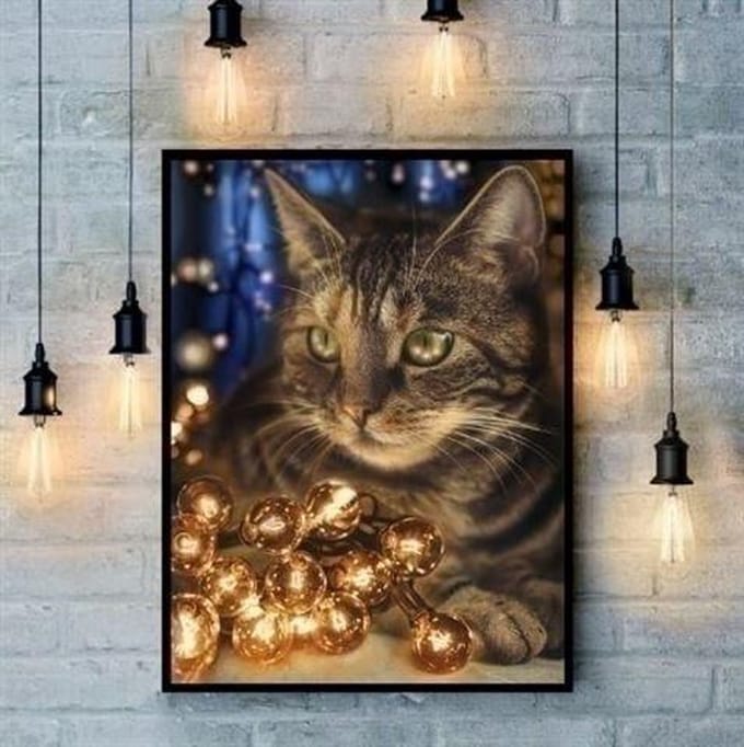 Diamond Painting Fluffy Rascal AZ-1694