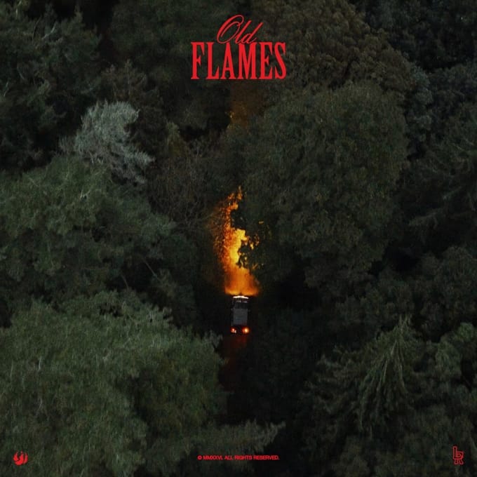 La Roux - Old Flames (CD)