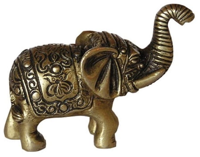 Baby olifant met gravure