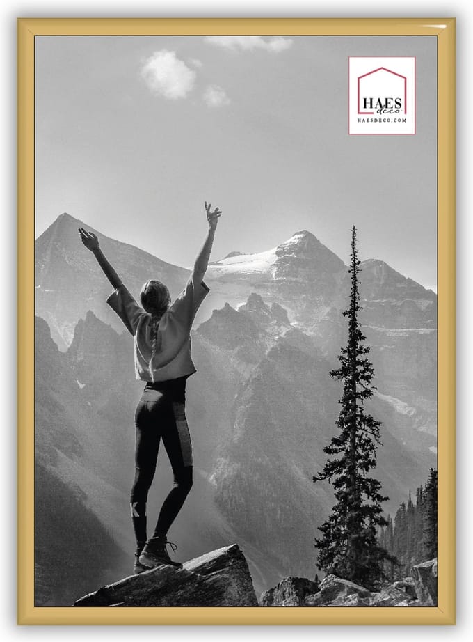 HAES DECO - Kunststof fotolijst A4 / 21x29,7 goud Easy Frame - EF11G