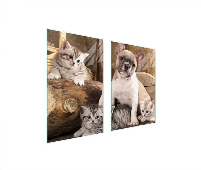 TMK ArtDeko - Snijplank - Glas - 65x52 cm - Grootte Pies