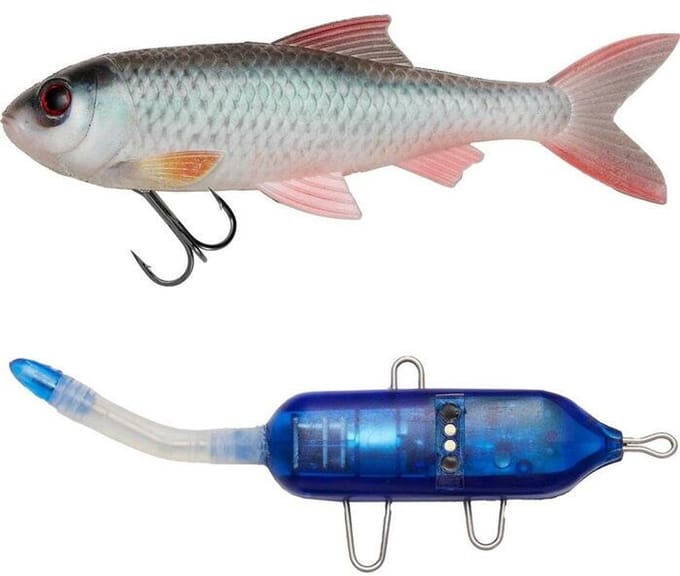 Pulzbait Roach Kit Natural Roach (20cm)