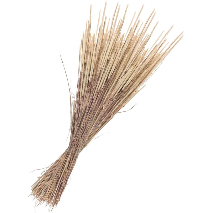 Gedroogde bloemen "Phleum Pratensis" - Natuur