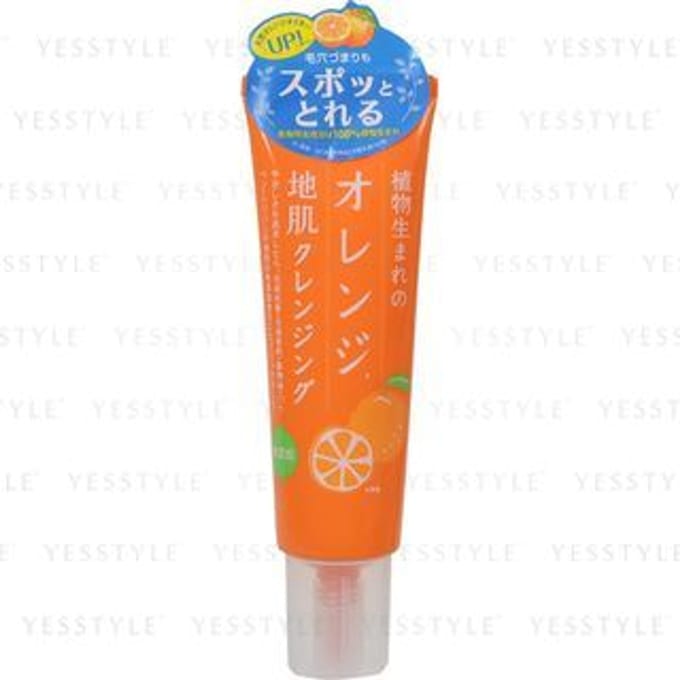 Ishizawa-Lab - Plant-Born Orange Scalp Cleansing 130g