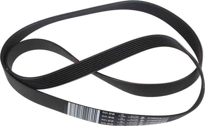 WHIRLPOOL - SNAAR POLY-V - 1310J8 ELAST - 481010388418